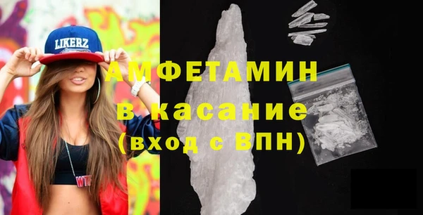 прущие грибы Вязьма