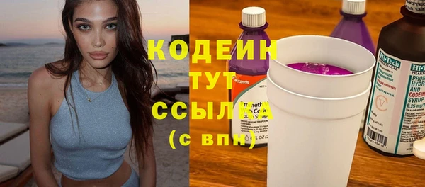ГАЛЛЮЦИНОГЕННЫЕ ГРИБЫ Вяземский
