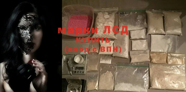 прущие грибы Вязьма