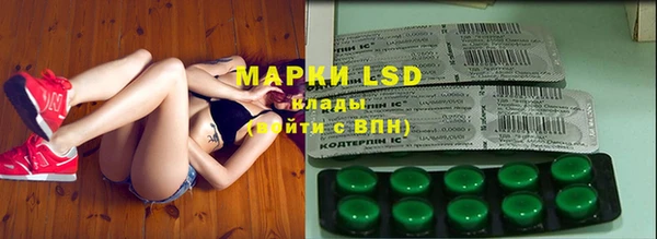 ГАЛЛЮЦИНОГЕННЫЕ ГРИБЫ Вяземский
