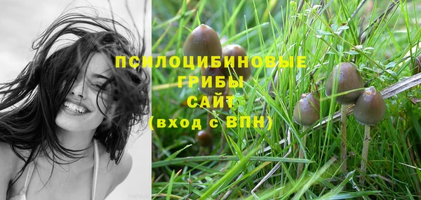 СК Протвино