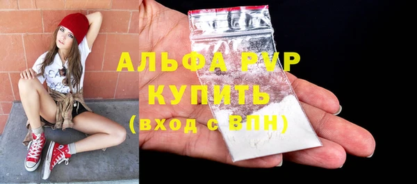ГАЛЛЮЦИНОГЕННЫЕ ГРИБЫ Вяземский