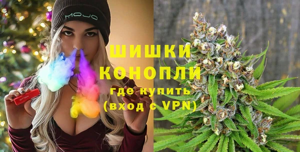 прущие грибы Вязьма
