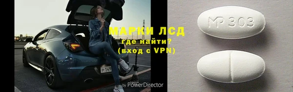 прущие грибы Вязьма