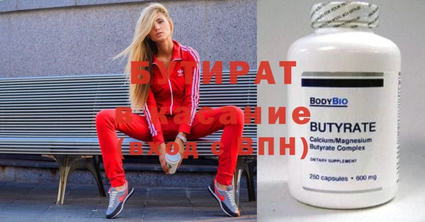 прущие грибы Вязьма