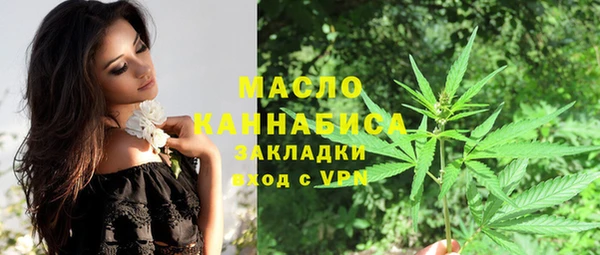прущие грибы Вязьма