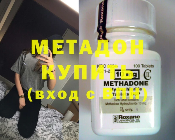 прущие грибы Вязьма