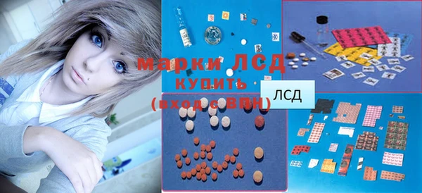 прущие грибы Вязьма