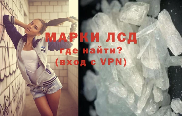 прущие грибы Вязьма