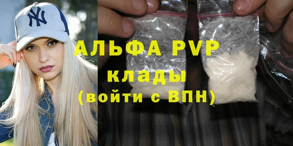 прущие грибы Вязьма