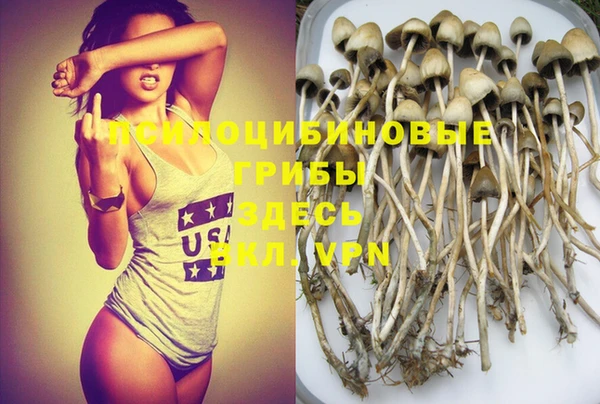 ГАЛЛЮЦИНОГЕННЫЕ ГРИБЫ Вяземский