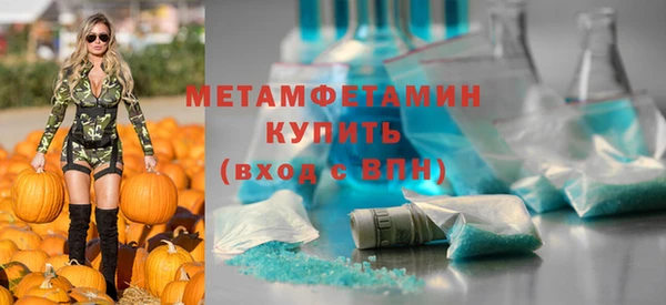ГАЛЛЮЦИНОГЕННЫЕ ГРИБЫ Вяземский