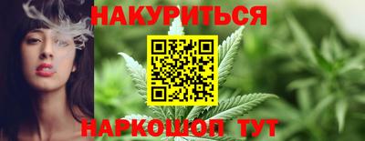 индика Дубна