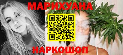 индика Дубна
