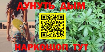 индика Дубна