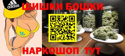 индика Дубна