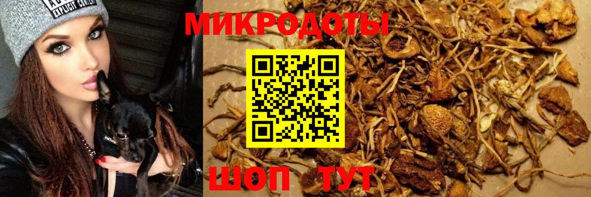 Муром  Галлюциногенные грибы Psilocybine cubensis  Псилоцибиновые грибы GOLDEN TEACHER  Вход с VPN 