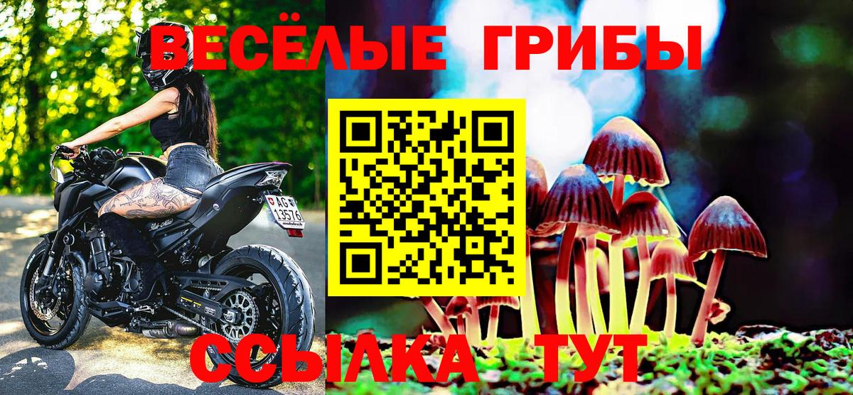 Галлюциногенные грибы MAGIC MUSHROOMS Муром